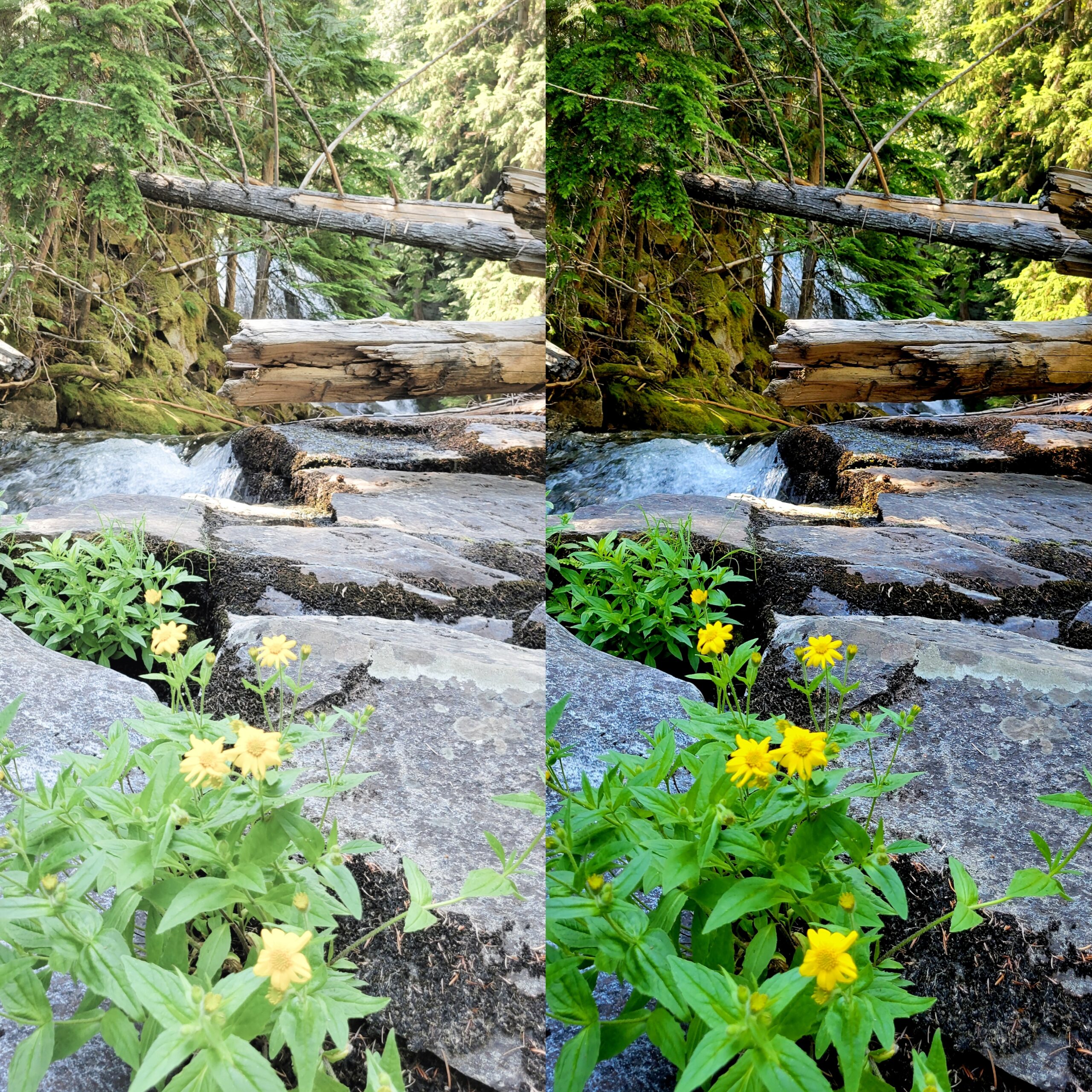 Seeing Things Differently